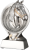RS1501.png