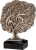 RFST2094_BR.png