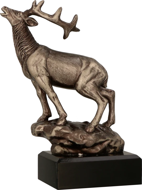RFST3010_BR.png