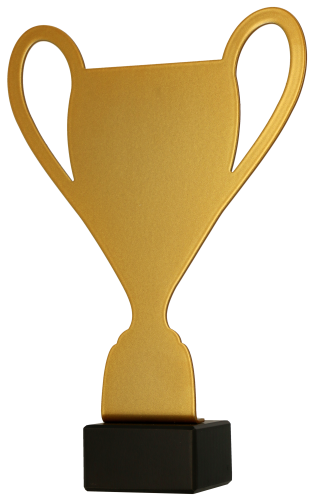ML-CUP.png