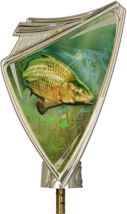 CREST_FIS1_1.png