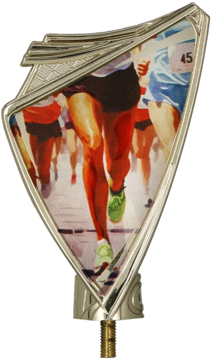 CREST_RUN_1.png