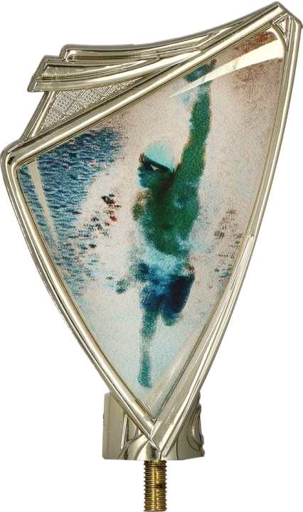 CREST_SWI_1.png