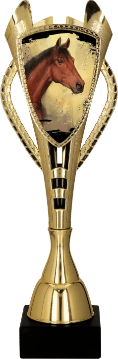 7243_HOR.png