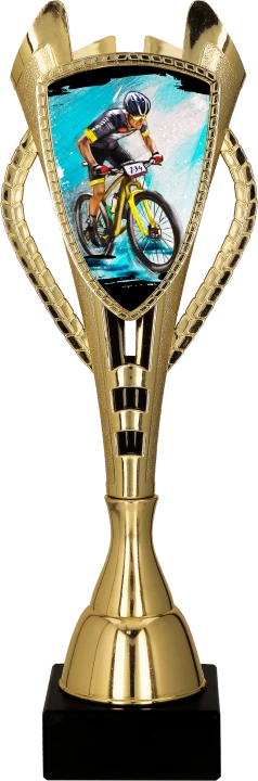 7243_MTB.png