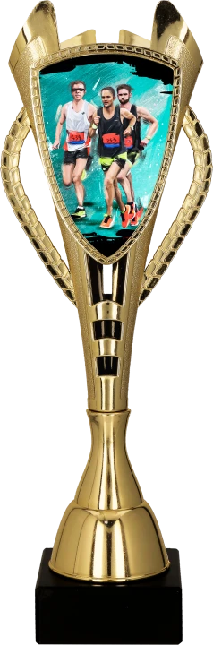 7243_RUN2.png