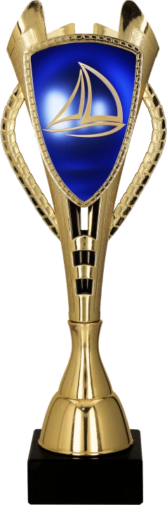 7243_SAI.png