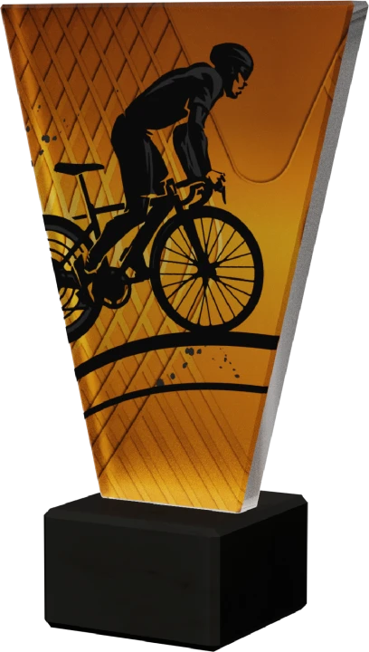 VL1 CYC.png