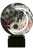 WR-MUS.png