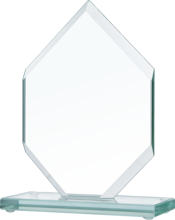 GS110.png