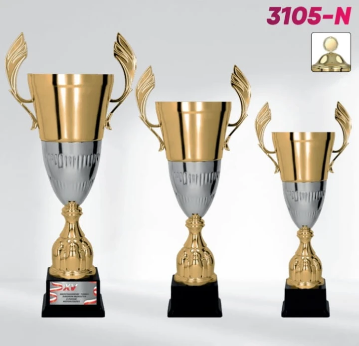 3105-N wszystkie.JPG