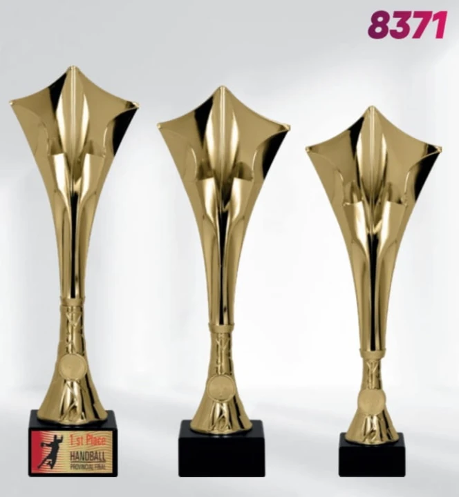 8371 wszystkie.JPG