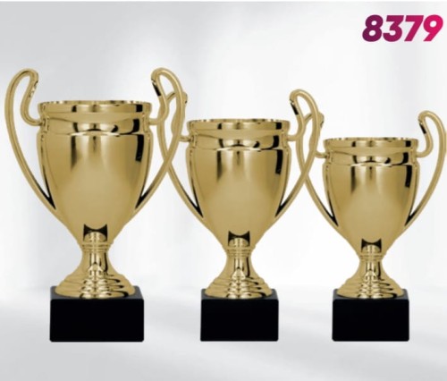 8379 wszystkie.JPG