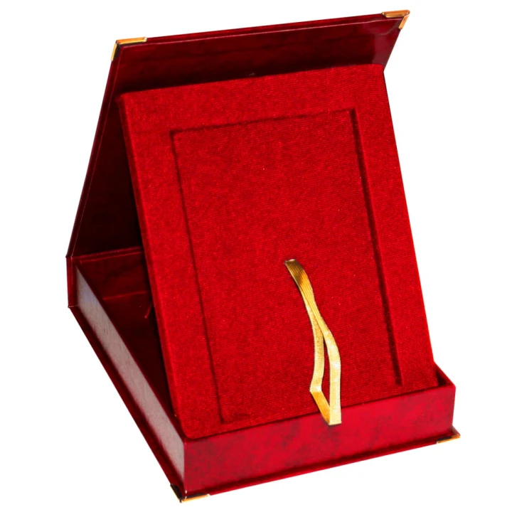 Etui - Bordo - Pion.jpg
