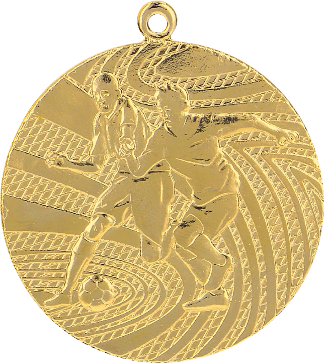 MMC1340_G kopia.png