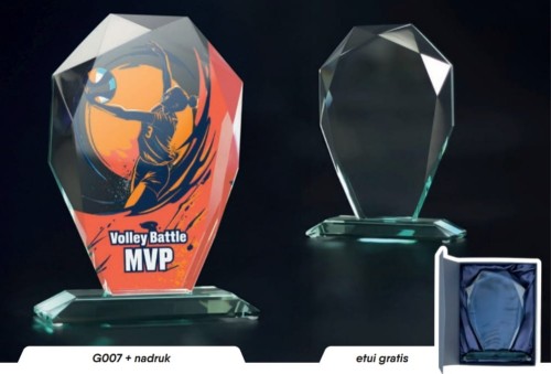 g007.JPG